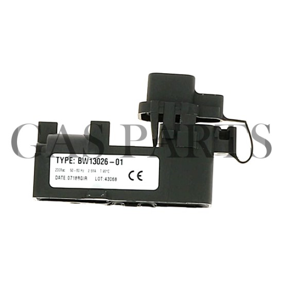Μετασχηματιστής σπινθηρισμού Ariston Clas Evo HP Μετασχηματιστής σπινθηρισμού Ariston Clas Evo HP