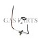 Ακίδα ιονισμού Ariston Egis Premium